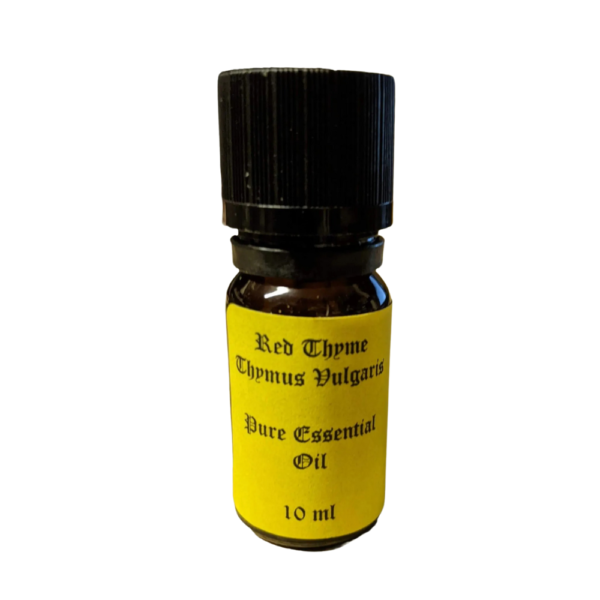 Red Thyme Essential Oil 10ml
