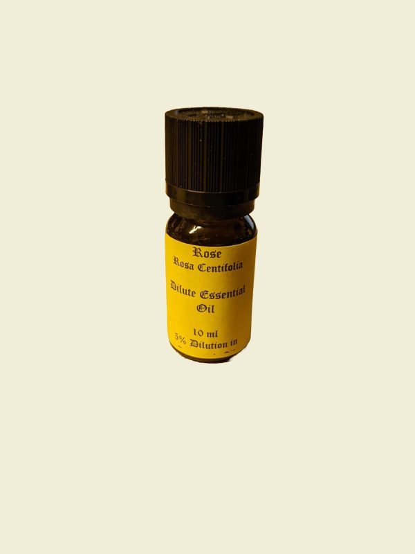 rose dilute essential oil 10ml