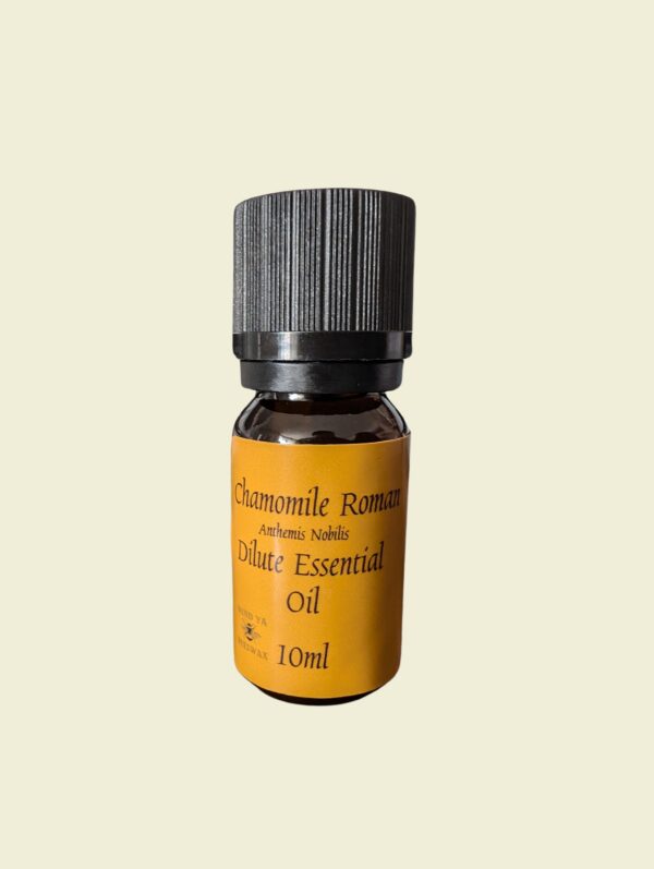 chamomile roman dilute essential oil 10ml