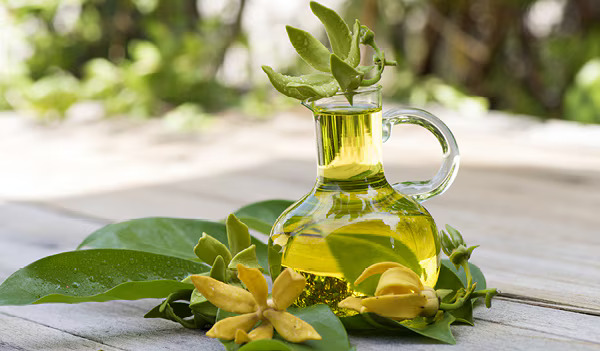 Ylang-Ylang Essential Oil