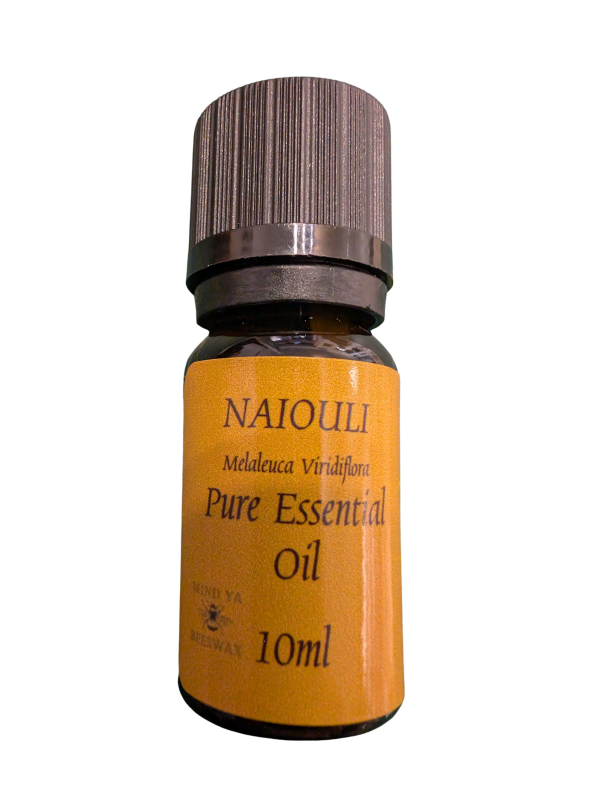 niaouli-essential-oil-10ml.jpg 10ml Niaouli Essential Oil in a small bottle, natural camphorous scent for respiratory and skin support.